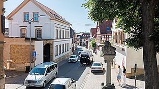 Das beschauliche Kallstadt mit seinen 1.200 Einwohnern liegt an der Deutschen Weinstraße. Die örtliche AfD hat nun eine spezielle Idee.