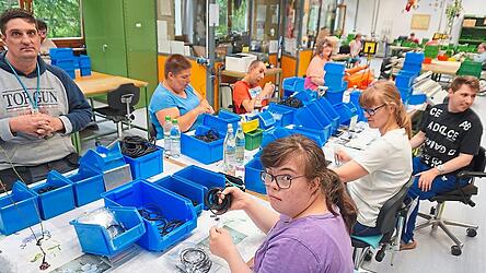 Zwischen 18 und 20 Millionen O-Ringe sortieren die Mitarbeiter an allen sieben Zweigstellen der Landshuter Werkstätten im Jahr ein. Mit Kursen, Sonderaufgaben und der Möglichkeit, an Außenarbeitsplätzen zu arbeiten, bringt der Landauer Standortleiter Michael Schranz Abwechslung in den Arbeitsalltag der Mitarbeiter.