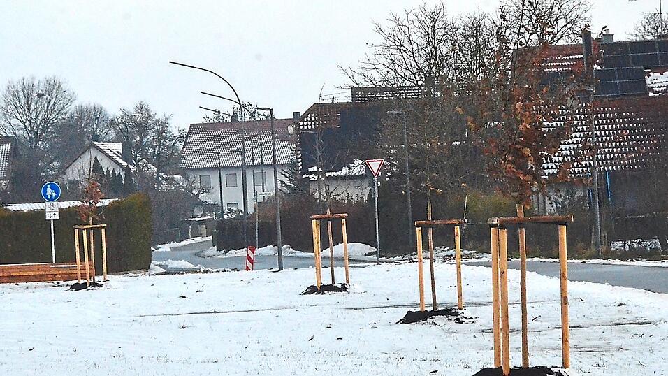 Anlässlich der Umgestaltung des Radweganschlusses in die Kastnerstraße legte man die Pflanzbeete neu an und pflanzte vier Traubeneichen. Anlässlich der Umgestaltung des Radweganschlusses in die Kastnerstraße legte man die Pflanzbeete neu an und pflanzte vier Traubeneichen.