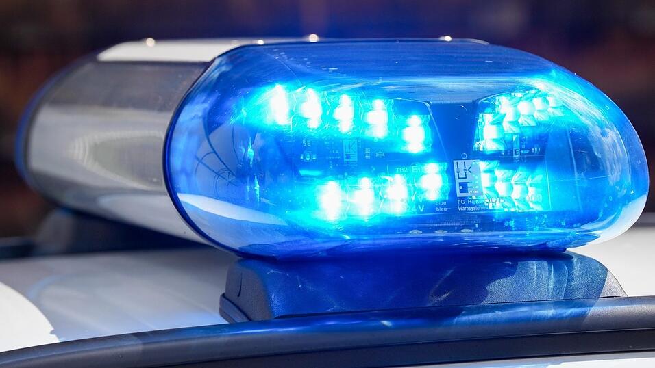 Zwei Verkehrsschilder und zwei Warnbaken sind in einem Garten in Landau entsorgt worden.