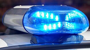 Zwei Verkehrsschilder und zwei Warnbaken sind in einem Garten in Landau entsorgt worden.