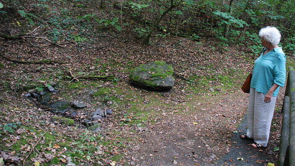 Eine verblüffte Museumsleiterin: Barbara Michal blickt auf den Quellaustritt am Nordhang des Bogenberges. Da sprudelt nichts mehr. Eine verblüffte Museumsleiterin: Barbara Michal blickt auf den Quellaustritt am Nordhang des Bogenberges. Da sprudelt nichts mehr.