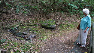 Eine verblüffte Museumsleiterin: Barbara Michal blickt auf den Quellaustritt am Nordhang des Bogenberges. Da sprudelt nichts mehr. Eine verblüffte Museumsleiterin: Barbara Michal blickt auf den Quellaustritt am Nordhang des Bogenberges. Da sprudelt nichts mehr.