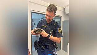 Praktikant Pascal k&uuml;mmerte sich um das gepanzerte Tier, schrieb die Polizei bei Facebook.