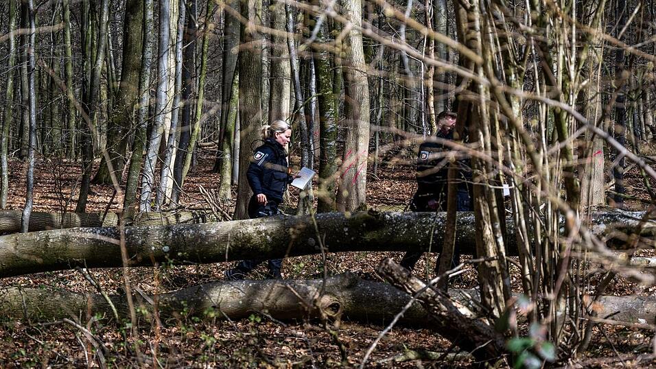 Einsatzkr&auml;fte untersuchen den Baum.