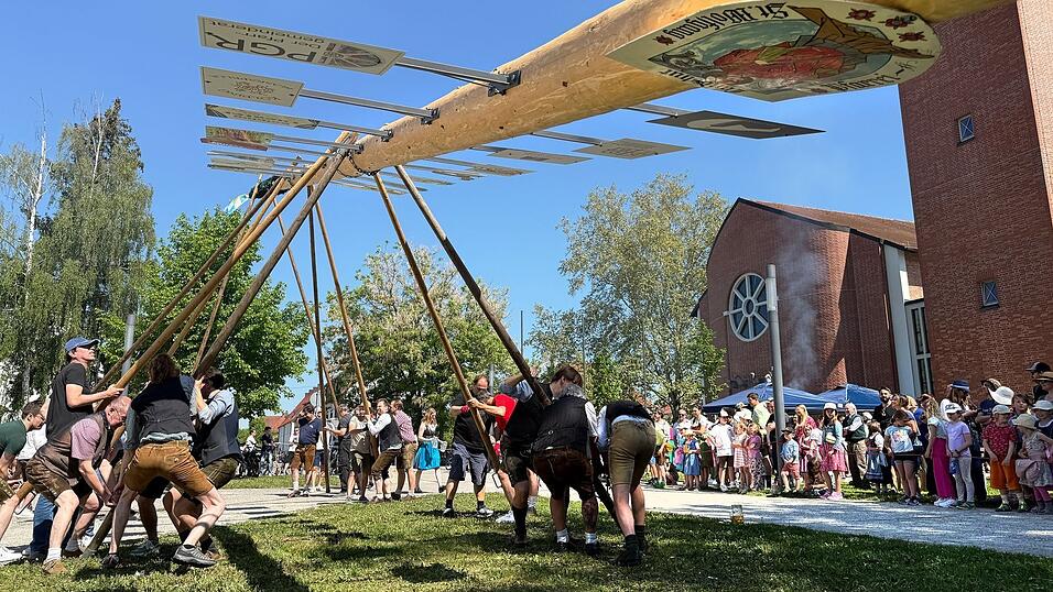 Traditionell mit vereinten Kräften muss der Baum in die Höhe gewuchtet werden. Traditionell mit vereinten Kräften muss der Baum in die Höhe gewuchtet werden.
