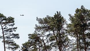 Aufgrund erh&ouml;hter Waldbrandgefahr plant die Niederbayerische Regierung in dieser Woche sechs Fl&uuml;ge zur Luftbeobachtung. (Symbolbild)
