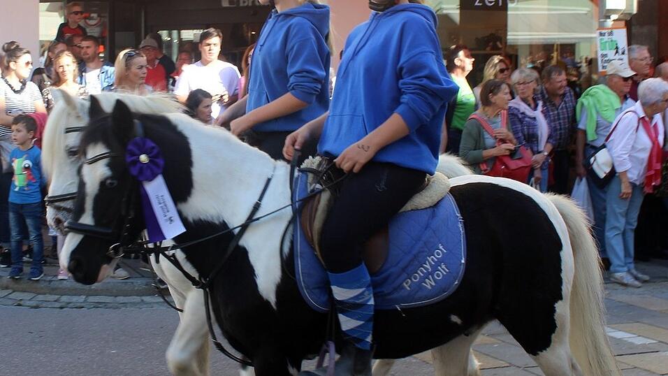Viele Besucher verfolgten am Sonntag den Umzug auf dem Vilsbiburger Stadtplatz. Viele Besucher verfolgten am Sonntag den Umzug auf dem Vilsbiburger Stadtplatz.