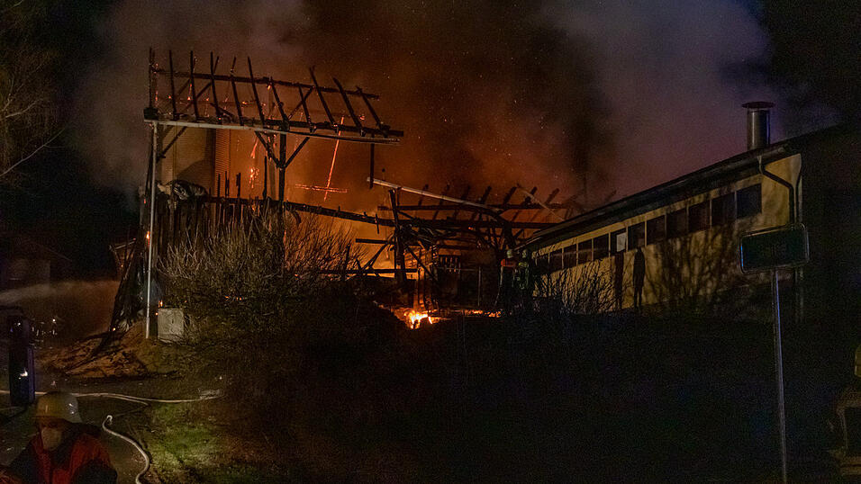 Mehrere Rinder sind bei einem Brand auf einem Bauernhof im Landkreis Deggendorf ums Leben gekommen.