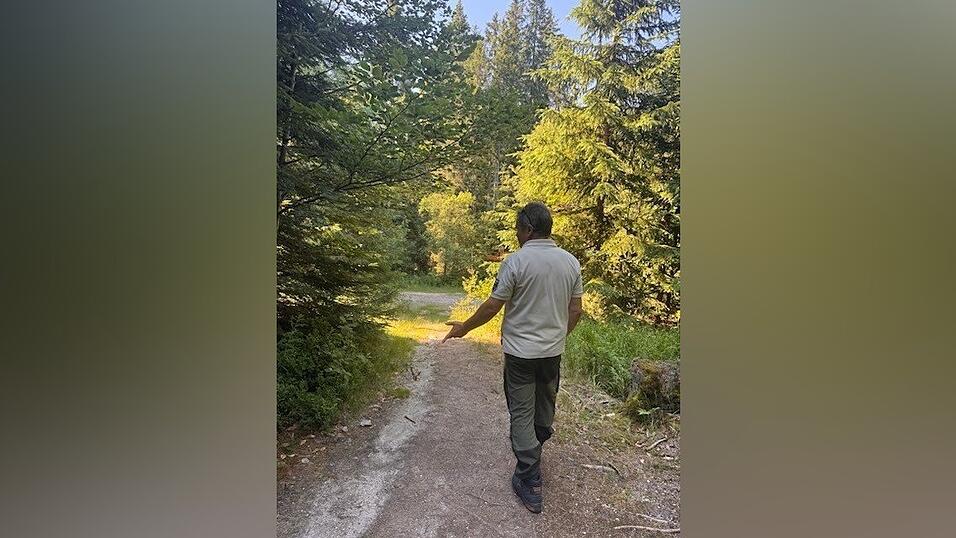 Sein Arbeitsplatz ist der Wald: Unterwegs erklärt Schreib die vielfältigen Aufgaben eines Rangers. 