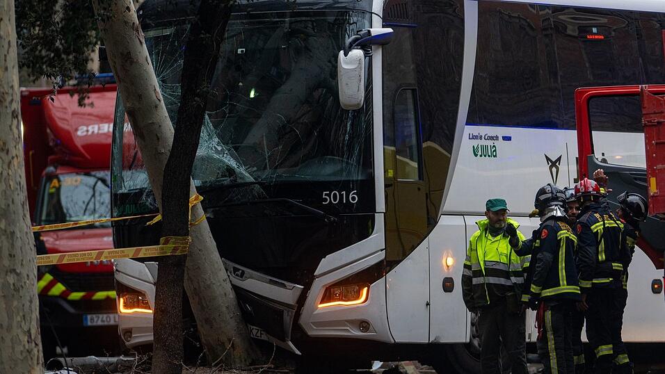 Beim Unfall wurden auch ein Baum und eine Straßenlaterne beschädigt. (Foto aktuell) Beim Unfall wurden auch ein Baum und eine Straßenlaterne beschädigt. (Foto aktuell)