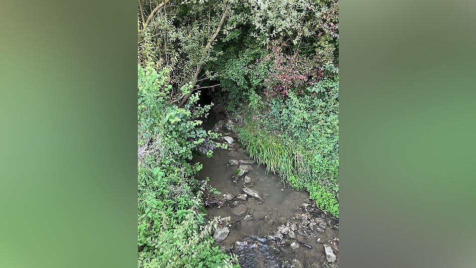 Friedlich plätschert die Abens die meiste Zeit durch Au. Bei starken Niederschlägen kommt es aber immer wieder vor, dass sich das Flüsschen in einen reißenden Strom verwandelt und über die Ufer tritt. Friedlich plätschert die Abens die meiste Zeit durch Au. Bei starken Niederschlägen kommt es aber immer wieder vor, dass sich das Flüsschen in einen reißenden Strom verwandelt und über die Ufer tritt.