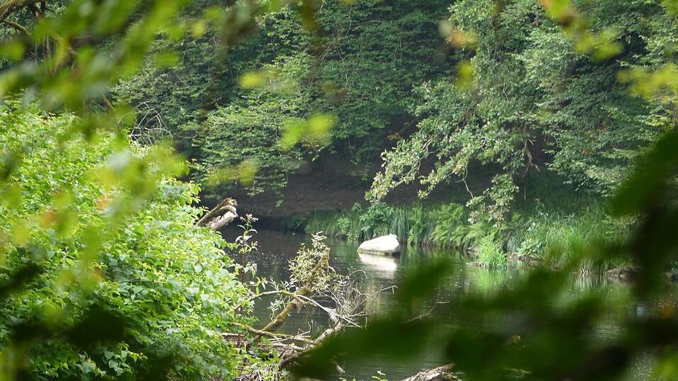 Wunderschönes Ausflugsziel in Passau: die Halser Ilzschleifen. Wunderschönes Ausflugsziel in Passau: die Halser Ilzschleifen.
