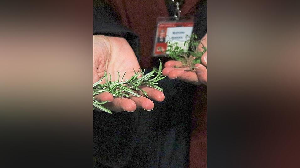Rosmarin und Thymian zum Anfassen.