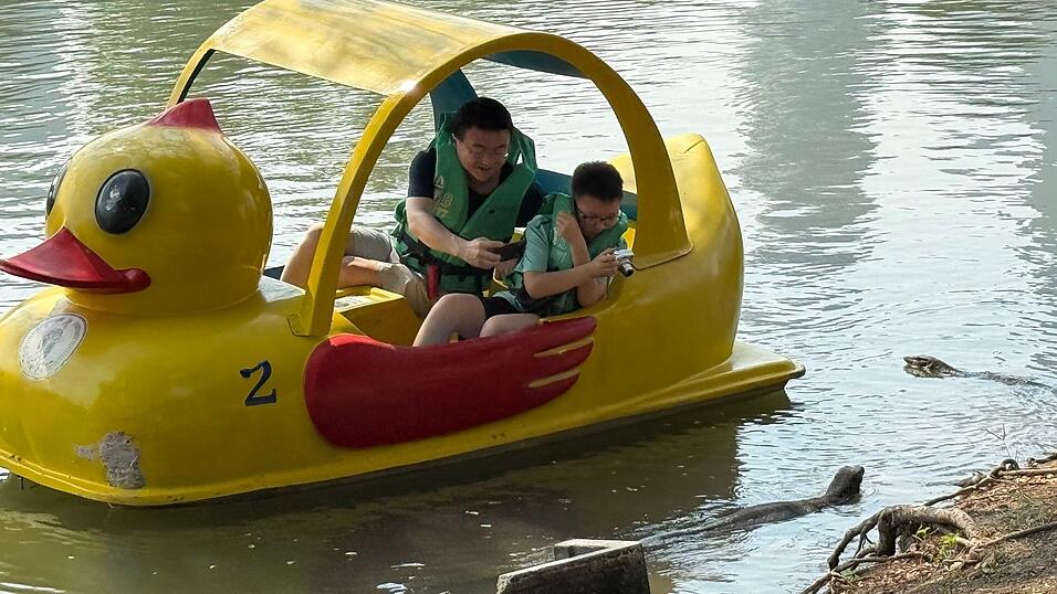 Die urzeitlichen Warane sind ein beliebtes Fotomotiv.