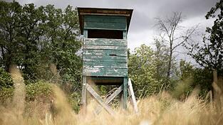 Das bayerische Jagdrecht wird reformiert. (Archivbild)