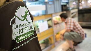 In der Auffangstation für Reptilien sollen die Schlangen jetzt aufgepäppelt werden - wenn es dafür nicht zu spät ist (Archivbild). In der Auffangstation für Reptilien sollen die Schlangen jetzt aufgepäppelt werden - wenn es dafür nicht zu spät ist (Archivbild).