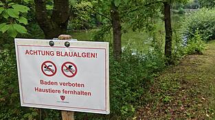 Idyllisch, aber aktuell gef&auml;hrlich. Die Stadt und das Gesundheitsamt warnen vor Blaualgen im Ittlinger Weiher - ein aufmerksamer B&uuml;rger hat das Gesundheit darauf hingewiesen.