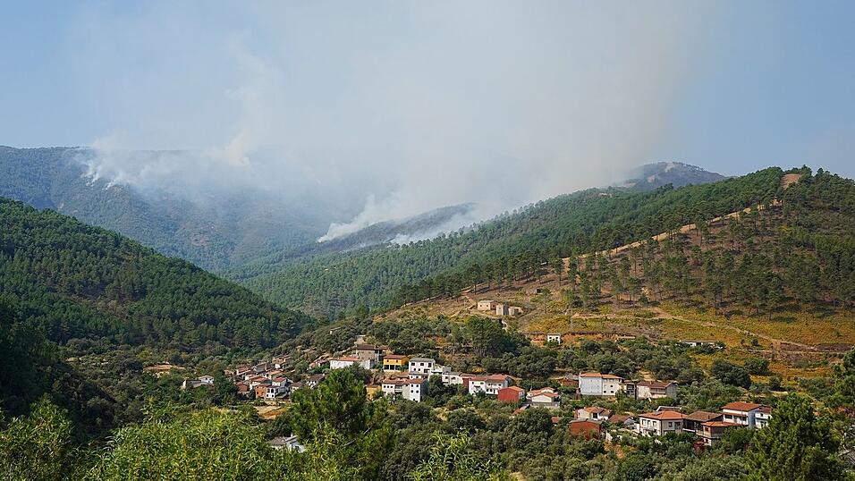 Das Feuer in Cáceres wurden höchstwahrscheinlich absichtlich gelegt. Das Feuer in Cáceres wurden höchstwahrscheinlich absichtlich gelegt.