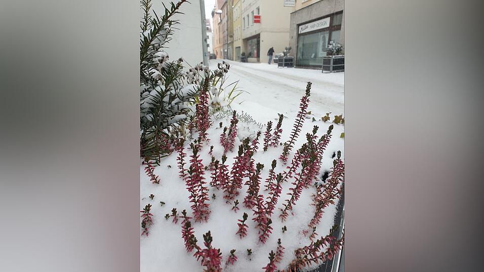 Am Dienstag schneit es heftig in weiten Teilen Bayerns, auch in Straubing. Am Dienstag schneit es heftig in weiten Teilen Bayerns, auch in Straubing.