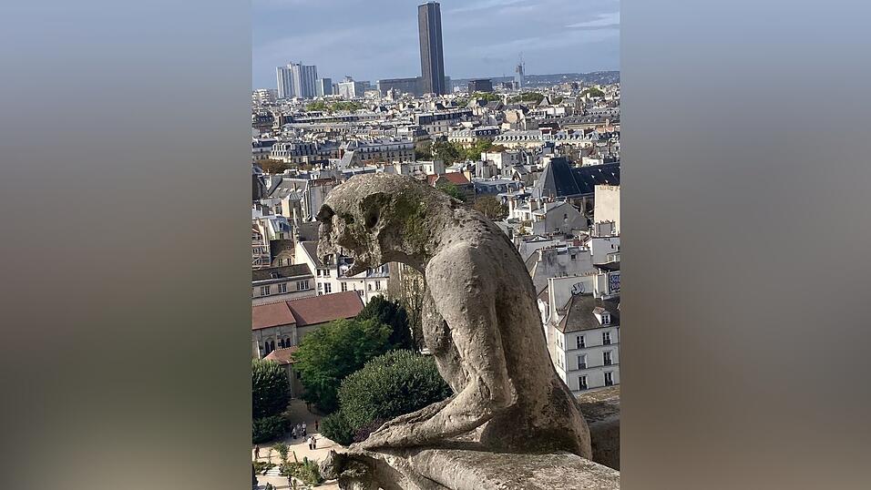 Chimären, die steinernen Mischwesen wachen über Notre-Dame.