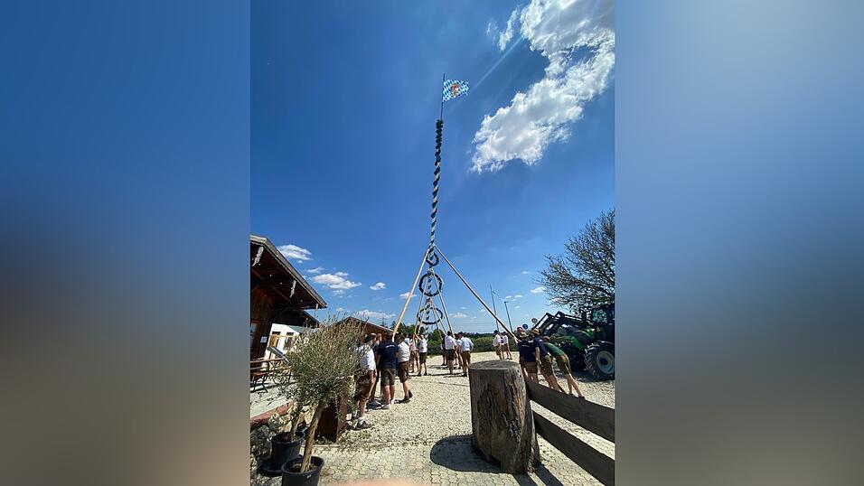 Um 13 Uhr wurde der prächtig geschmückte Maibaum der Adlkofener Landjugend mit vereinten Kräften aufgestellt. Darauf folgte der lautstarke Auftritt der Böllerschützen, die ihre Salutschüsse abfeuerten. Um 13 Uhr wurde der prächtig geschmückte Maibaum der Adlkofener Landjugend mit vereinten Kräften aufgestellt. Darauf folgte der lautstarke Auftritt der Böllerschützen, die ihre Salutschüsse abfeuerten.
