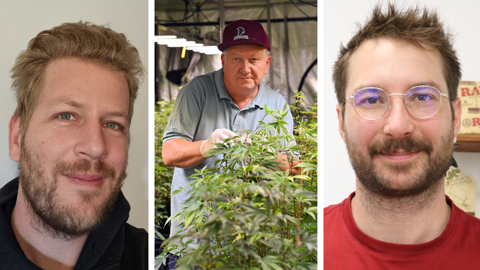 Von links: Keno Mennenga, Wenzel Cerveny, Kilian Bohn. Von links: Keno Mennenga, Wenzel Cerveny, Kilian Bohn.