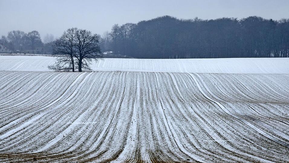Schnee bis in die Niederungen ist am Samstag für die Mitte und den Süden vorhergesagt. Schnee bis in die Niederungen ist am Samstag für die Mitte und den Süden vorhergesagt.