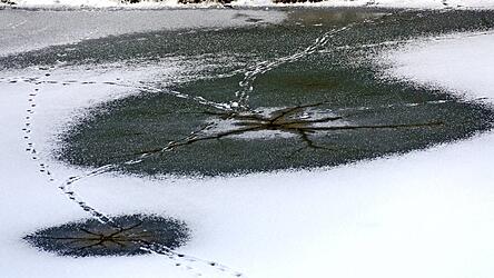 Ein Zehnj&auml;hriger ist in die vereiste Pfettrach eingebrochen (Symbolbild).