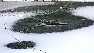 Ein Zehnj&auml;hriger ist in die vereiste Pfettrach eingebrochen (Symbolbild).