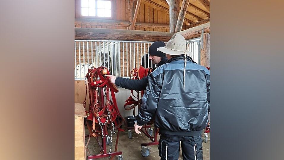 Die acht Rosserer pr&uuml;fen, welches Geschirr welchem Pferd passt und machen sich mit den Tigerschecken bekannt.