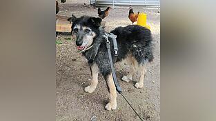 Nun w&auml;chst Paulis Vertrauen von Tag zu Tag.