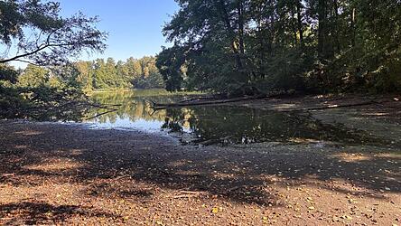 Die Weiher im Naturschutzgebiet verlieren zusehends Wasser. Jeden Tag sinkt der Pegel um einen Zentimeter.