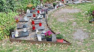 Die Urnenerdgräber am Hauptfriedhof.