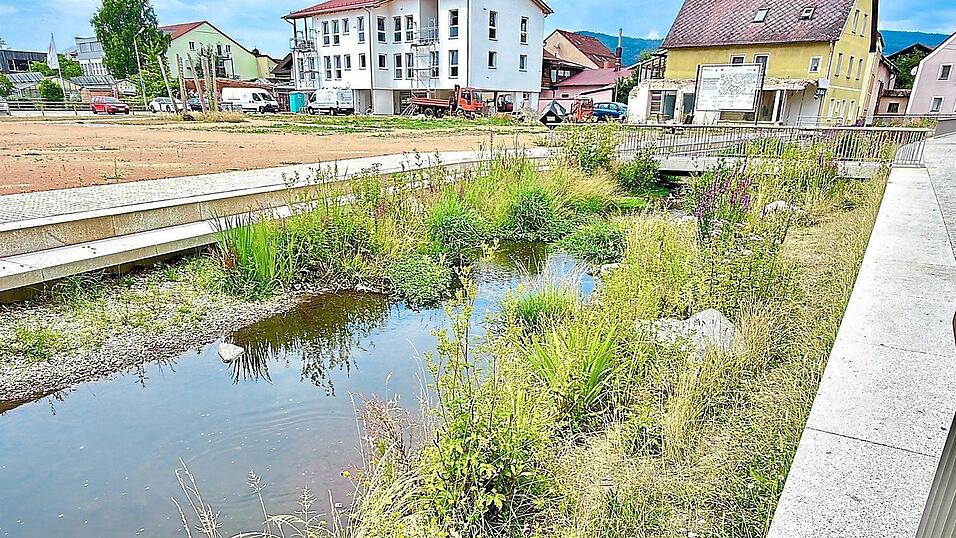 Viel Gr&uuml;n entlang der Kalten Pastritz an der Lorenz-Zierl-Stra&szlig;e. Dies scheint einige Further zu st&ouml;ren, zumal diese Stra&szlig;e nach ihrer Neugestaltung des &Ouml;fteren als neue &bdquo;Flaniermeile&ldquo; gelobt wurde.