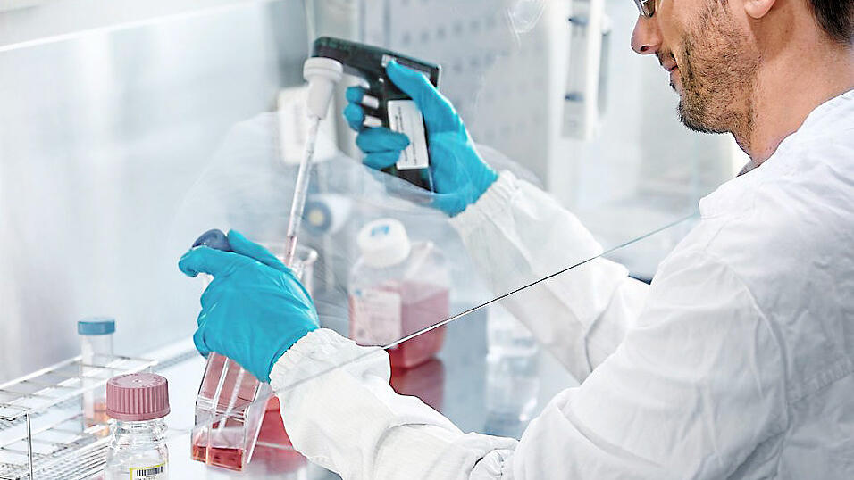 Gemeinsam mit seinem Team entwickelte Kraut das Medikament Hernexeos.