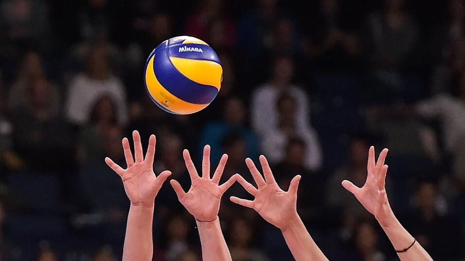 Die ASV Volleys aus Dachau ziehen sich aus der Bundesliga zurück. (Archivbild) Die ASV Volleys aus Dachau ziehen sich aus der Bundesliga zurück. (Archivbild)
