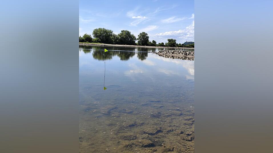 Ein Fähnchen zeigt auf dem Bild den Standort: Hier liegt der Hungerstein, derzeit noch rund 30 Zentimeter unter Wasser. Ein Fähnchen zeigt auf dem Bild den Standort: Hier liegt der Hungerstein, derzeit noch rund 30 Zentimeter unter Wasser.