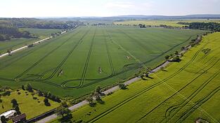 Der Agrarbetrieb „AgroVation“ des Schwandorfer Landmaschinenherstellers Horsch in Tschechien hat eine Fläche von rund 4.000 Hektar. Der Agrarbetrieb „AgroVation“ des Schwandorfer Landmaschinenherstellers Horsch in Tschechien hat eine Fläche von rund 4.000 Hektar.