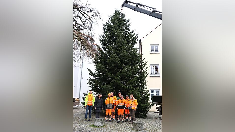 Bürgermeisterin Andrea Probst freute sich mit dem Bauhofteam und Stadtrat Walter Franz (r.) über den schönen Christbaum. Bürgermeisterin Andrea Probst freute sich mit dem Bauhofteam und Stadtrat Walter Franz (r.) über den schönen Christbaum.