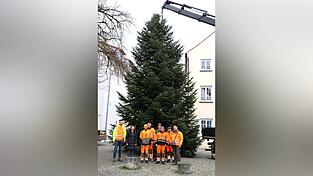 Bürgermeisterin Andrea Probst freute sich mit dem Bauhofteam und Stadtrat Walter Franz (r.) über den schönen Christbaum.