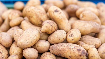Ein Landwirt verlor 2025 unbemerkt rund vier Tonnen Kartoffeln auf der K&ouml;llnbacher Stra&szlig;e, die sich auf einer L&auml;nge von 500 Metern als &bdquo;Kartoffelteppich&ldquo; &uuml;ber die Fahrbahn verteilten. (Symbolbild)