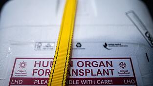 K&uuml;hlbox f&uuml;r eine Organspende: Ein zweij&auml;hriger Junge k&auml;mpft in Neapel um sein Leben. Nach einem Transplantationsfehler wird europaweit nach einem passenden Spenderherz gesucht. (Archivbild)