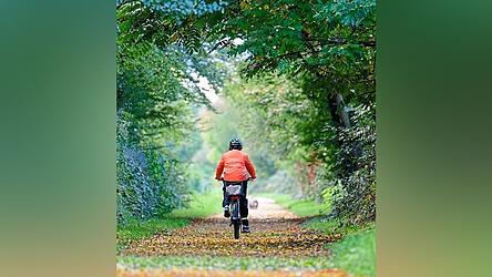 Um ein gro&szlig;es Radwegprojekt ging es im Gemeinderat.