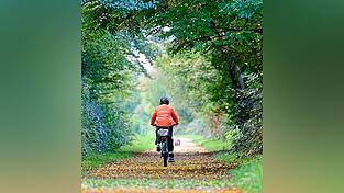 Um ein gro&szlig;es Radwegprojekt ging es im Gemeinderat.