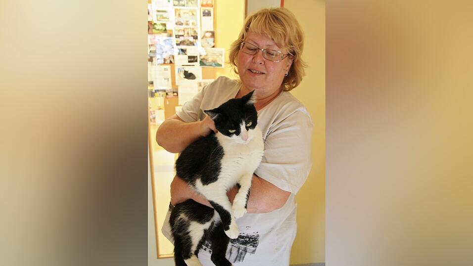 Jedes Tier in der Tierpension bekommt von Anja Wojahn eine pers&ouml;nliche Streicheleinheit. So auch Kater Bully.