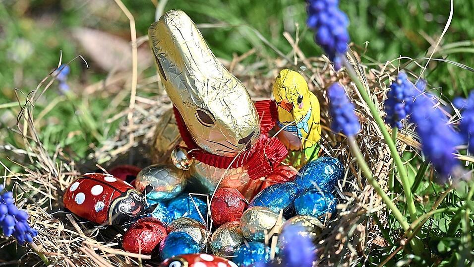 Ein gefülltes Osternest ist in einem Garten zwischen Frühlingsblumen versteckt. Oft bringt der Osterhase aber mittlerweile auch richtige Geschenke. Ein gefülltes Osternest ist in einem Garten zwischen Frühlingsblumen versteckt. Oft bringt der Osterhase aber mittlerweile auch richtige Geschenke.