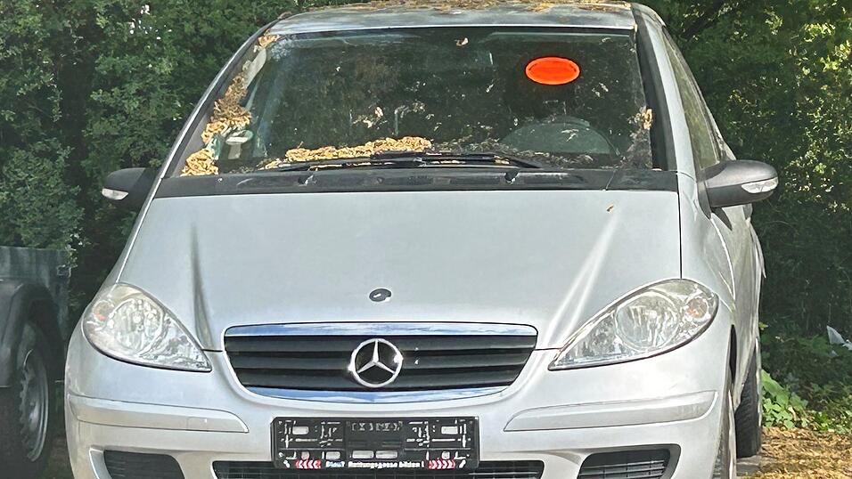 Der letzte Halter wird bez&uuml;glich der Entsorgung kontaktiert.