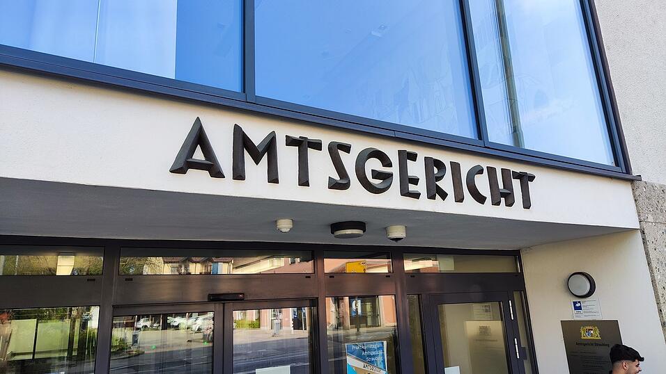 Die Staatsanwaltschaft legte dem 19-J&auml;hrigen eine ganze Reihe von Straftaten zur Last.