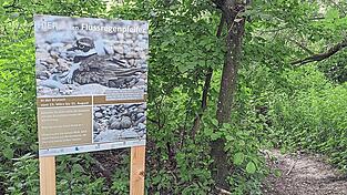„Helfen Sie mit, die seltene Vogelart zu erhalten“: Hinweisschilder informieren über die Brutplätze der Flussregenpfeifer. „Helfen Sie mit, die seltene Vogelart zu erhalten“: Hinweisschilder informieren über die Brutplätze der Flussregenpfeifer.
